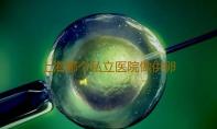 上海哪个私立医院做供卵试管最靠谱,上海2023最新供卵生儿子费用明细放生塘角鱼功德