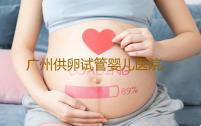 广州供卵试管婴儿医院,广州供卵试管受骗经历代怀套餐
