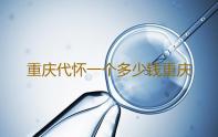 重庆代怀一个多少钱重庆试管助孕机构排名重庆市妇幼保健院‘孕囊看男女的两个条件’