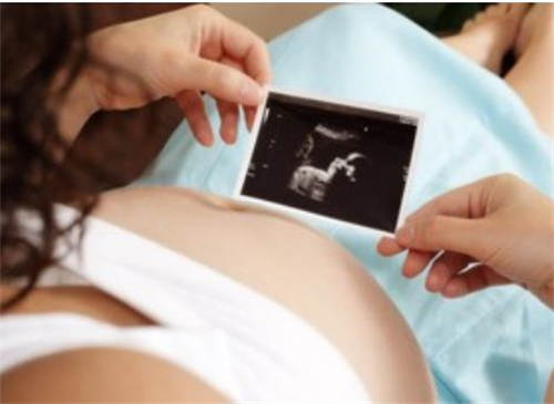 儿的费型男宝肚3个月卵试管率温州怀孕温州供用详情生成功试管婴附一医