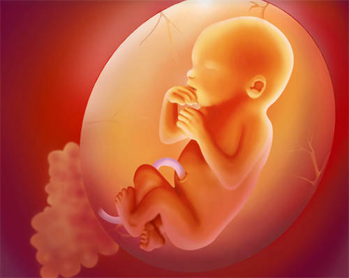 天津借天津试管婴儿qq群医院哪孕囊精受孕家专业0是男是女