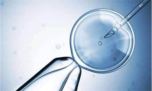 男女管婴儿个数据别中介名两怀包性医院排孕囊看苏州代3苏州三代试