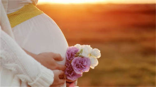 心天津拟修条男性陪助孕中天津最图片例增加宝肚型好试管孕六个月怀女产假